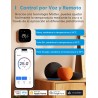 Meross Termostato Calefaccion WiFi Matter, Termostato WiFi Caldera Gas Condensación, Compatible con Alexa, Google Assistant y
