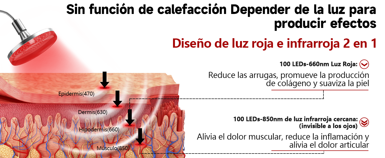 Esquema de penetración 660 nm y 850 nm en capas de la piel